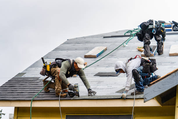Professional Roofing technician working in Holton, MI